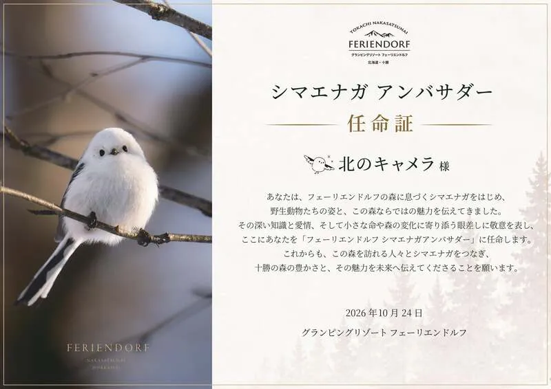 フェーリエンドルフ シマエナガ アンバサダー任命証