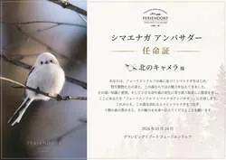 フェーリエンドルフ シマエナガ アンバサダー任命証