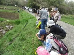 寺家ふるさと村四季の家　季節をみつける谷戸あるき