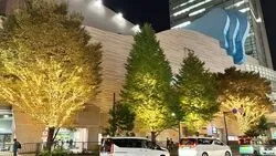 ゆめおおおかウィンターイルミネーション2026（写真は過年度のもの）