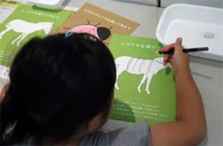 「ロケットの断面をのぞける！中学生以下無料の企画展「カガクノミカタ」大阪市立科学館」の写真