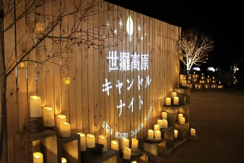 2025年の様子