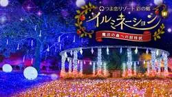 「光の玉が浮かぶ泉や魔女の礼拝所へ！小学生未満無料の掛川「つま恋イルミネーション」」の写真