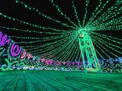 禁断の果樹園