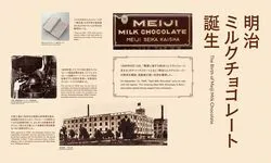 展示について_壁面イメージ