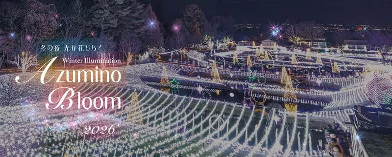 イルミネーションで彩られた公園内