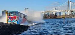 陸から東京湾へ進入するスカイダック
