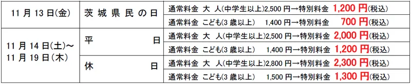 割引券（現地精算プラン）