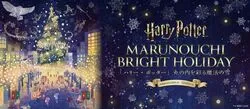 「ハリー・ポッターの杖づくり体験も！魔法の雪が舞う装飾9拠点を巡る丸の内クリスマス」の写真
