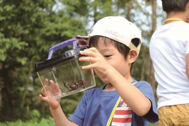 カブトムシやクワガタに子どもたちも夢中！