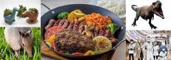 「真夏の特盛デックス」イメージ （右下：（C）石田スイ／集英社・東京喰種：re製作委員会）