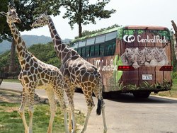 「年齢別で見つかる！　関西の入場無料の遊園地＆テーマパーク12選」の写真