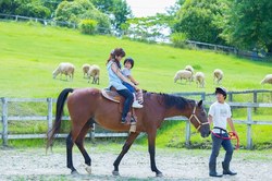 「年齢別で見つかる！　関西の入場無料の遊園地＆テーマパーク12選」の写真