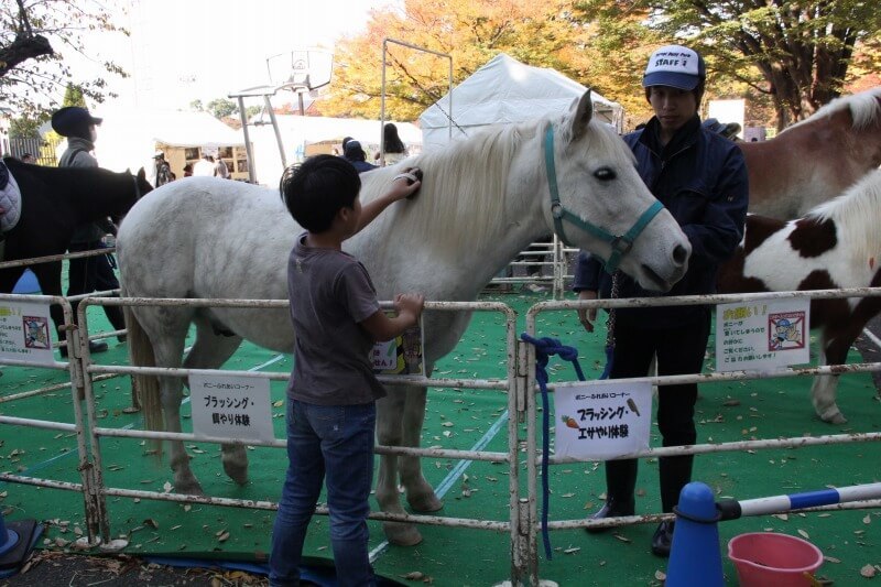 「ふるさと渋谷フェスティバル」過去開催の様子