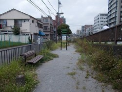 「パパ芸人の東京23区「公園」全制覇の旅【江東区編Vol.2】」の写真