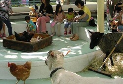 「東京都内の人気＆おすすめ動物園14選　無料・格安＆ふれあい多数」の写真