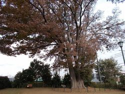「パパ芸人の東京23区「公園」全制覇の旅【杉並区編Vol.3】」の写真