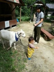 「【那須】0～2歳の子連れにおすすめ観光スポット10選　無料も多数」の写真