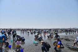 「関東の人気潮干狩りランキングTOP10　親子向け＆無料スポットも」の写真