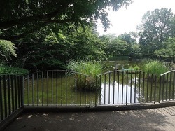 「【2024】練馬区のじゃぶじゃぶ池＆水遊び場があるおすすめ公園17選」の写真
