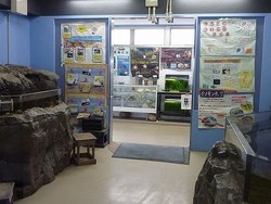 「【全国】入館無料のおすすめ水族館11選　タッチプールも充実！」の写真