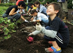 「【2024】東京都内近郊の芋掘り体験スポット13選　BBQ＆予約不要＆果物狩りも」の写真