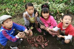 「【2024】東京都内近郊の芋掘り体験スポット13選　BBQ＆予約不要＆果物狩りも」の写真