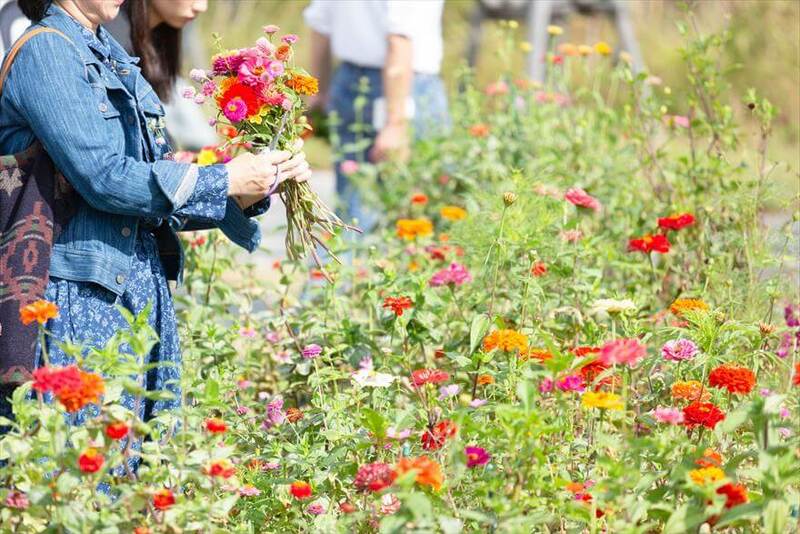 「オープンマギーズデー」イメージ