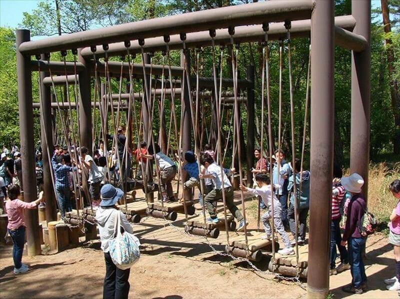 公園の様子