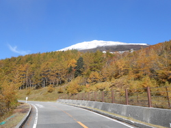 写真提供：富士宮市役所観光課