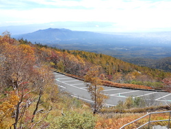 写真提供：富士宮市役所観光課
