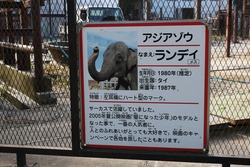 「「市原ぞうの国」徹底ガイド　割引＆ふれあい動物＆イベント網羅」の写真