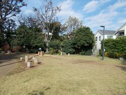 「杉並区の公園まとめ【写真付】　遊具・設備・トイレも一挙紹介」の写真