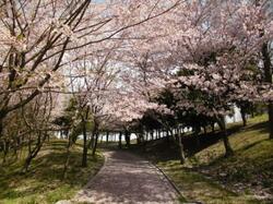 「関西の無料大型アスレチックがある公園12選　大阪・兵庫・京都も」の写真