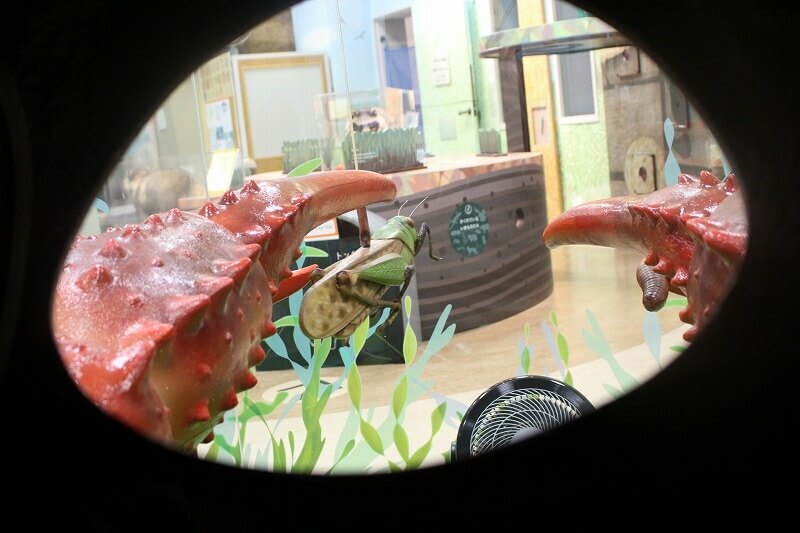 レバーを動かし、ザリガニになりきってバッタやミミズを捕まえる体験も！