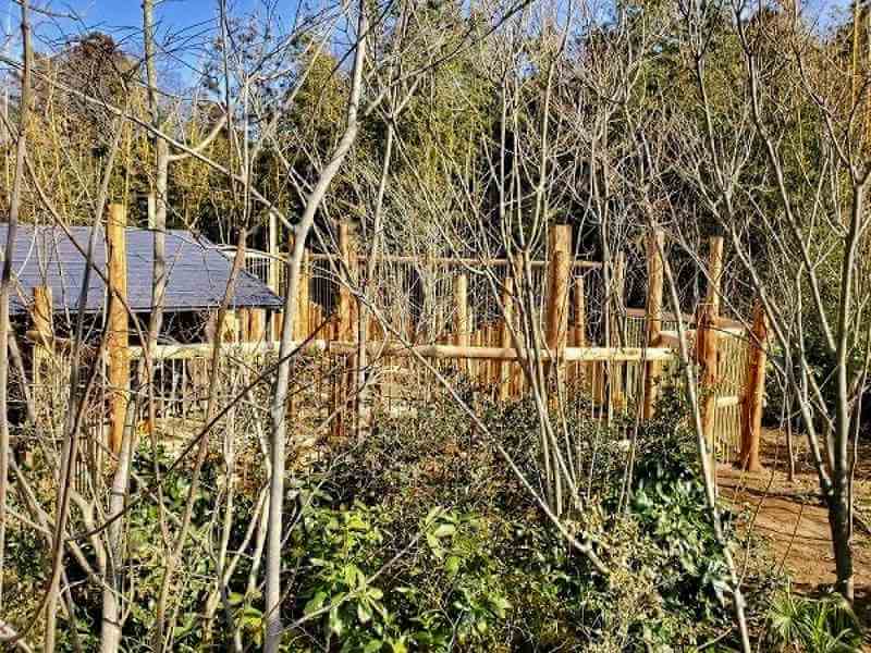 建設中の「ケープの森」