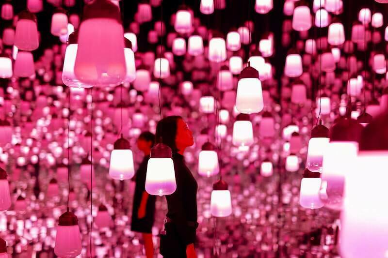 呼応するランプの森 - ワンストローク、桜 / Forest of Resonating Lamps - One Stroke, Cherry Blossoms