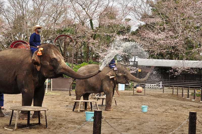 客席に向かって勢いよく放水！