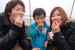 「希少！スカイベリー狩りができるイチゴ狩り農園」の写真
