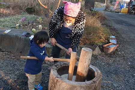 希少！スカイベリー狩りができるイチゴ狩り農園の3枚目の写真
