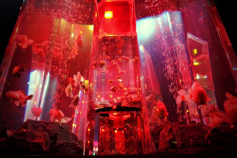 関西 21 22年オープン リニューアルの注目スポット14選 いこレポ