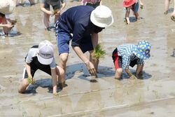 「【関西】絶対おすすめ　春休み＆4月の親子向けおでかけ先まとめ」の写真