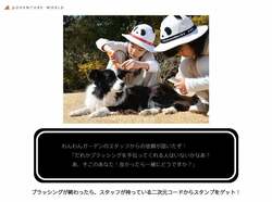 クエスト例1「ブラッシングを通して健康チェックをしよう！（イヌ編）」