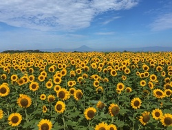 「【東京近郊】絶対おすすめ　2022年8月＆夏休み親子向けおでかけまとめ」の写真