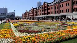 「巨大イースターの花畑＆プロジェクションマッピングが登場！」の写真