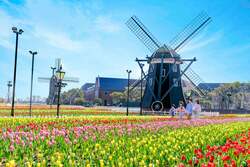 「ハウステンボスで日本一早いチューリップ祭　絶景花畑＆イルミも」の写真