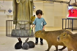 イオンモール土浦店