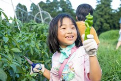「【関東】日帰りOKのグランピング施設7選　BBQ＆温泉＆サウナも！」の写真