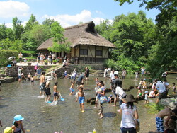 「【東海】大型アスレチックがある公園12選！　人気＆穴場も」の写真