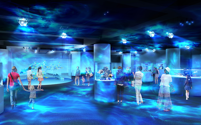 神戸市に新感覚の没入型水族館OPEN 生き物展示とアートが融合！ | いこ